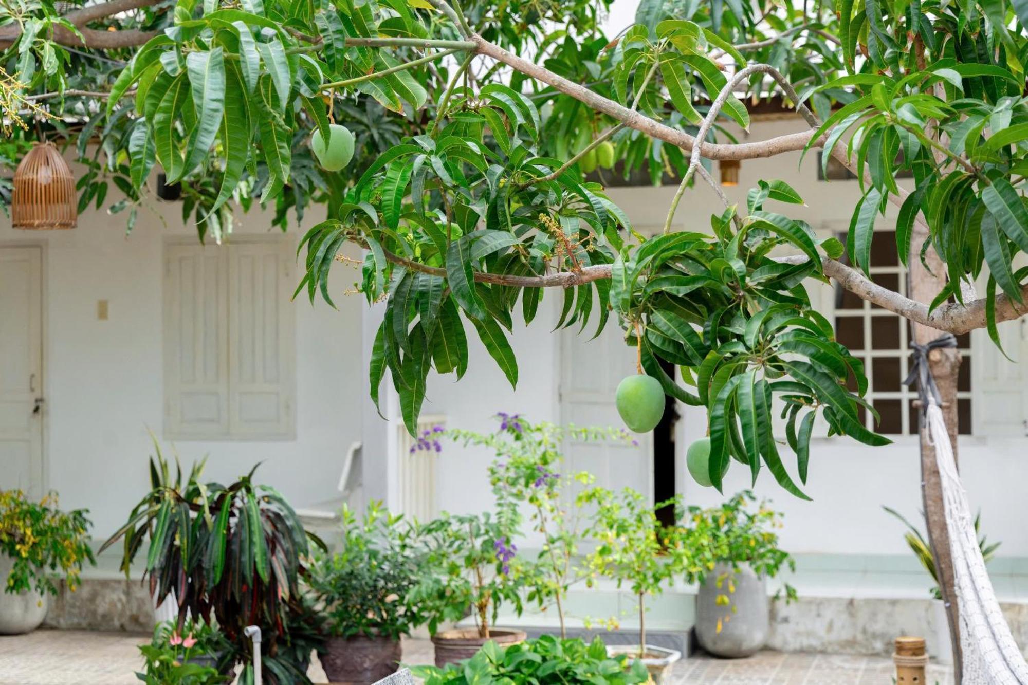 Binhyen Homestay Муйне Экстерьер фото
